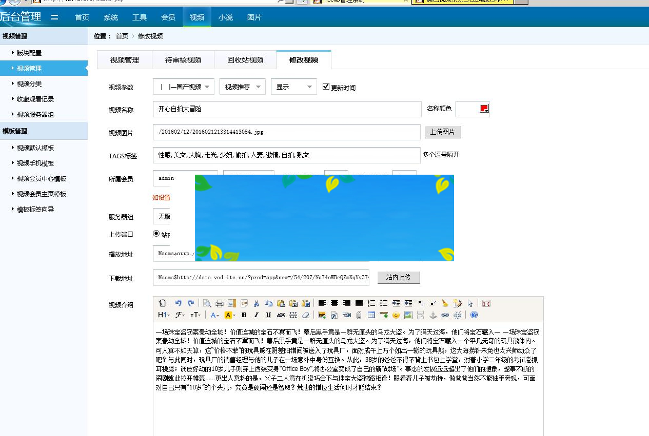 最新美色CMS视频系统解密版下载 四套PC/WAP模板_源码下载插图2