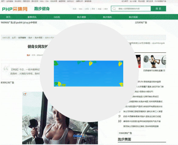 泛域名PHP镜像克隆程序网站源码插图