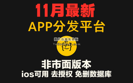 11月新版APP分发源码支持封装仿fir.im分发APP应用分发托管平台运营版插图