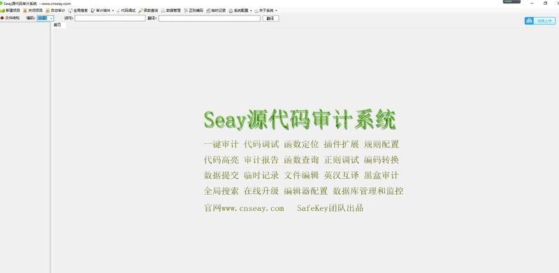 【去马修复版】SEAY代码审计系统源码独家去除后门/排门-ss插图