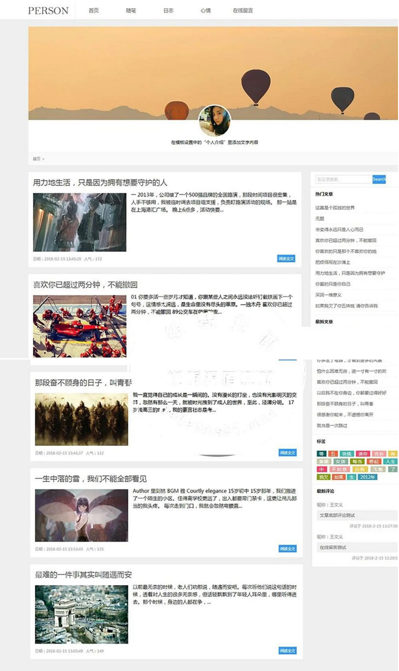 (带手机移动端)简洁PERSON个人博客新闻资讯网站源码 织梦dedecms模板插图