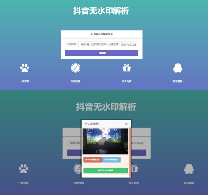 抖音在线去水印解析网PHP源码插图