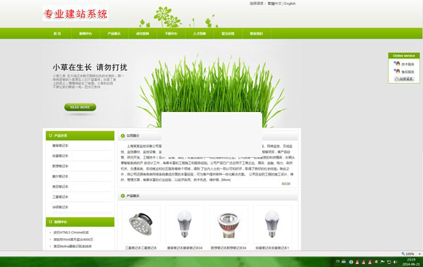 网展中英企业网站系统 绿色风格 v11.0插图