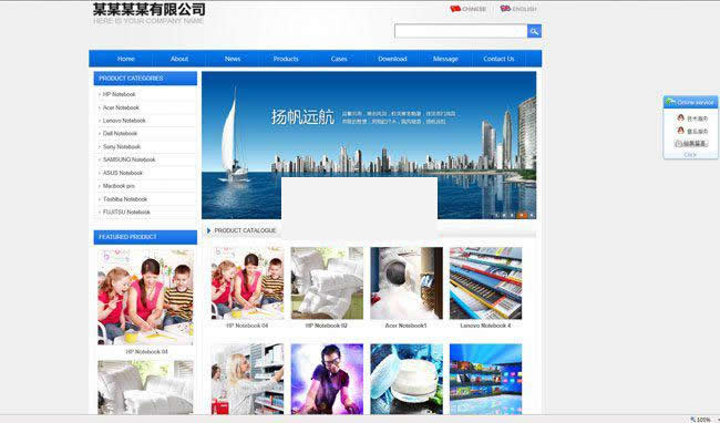 网新中英企业网站管理系统 v10.8插图