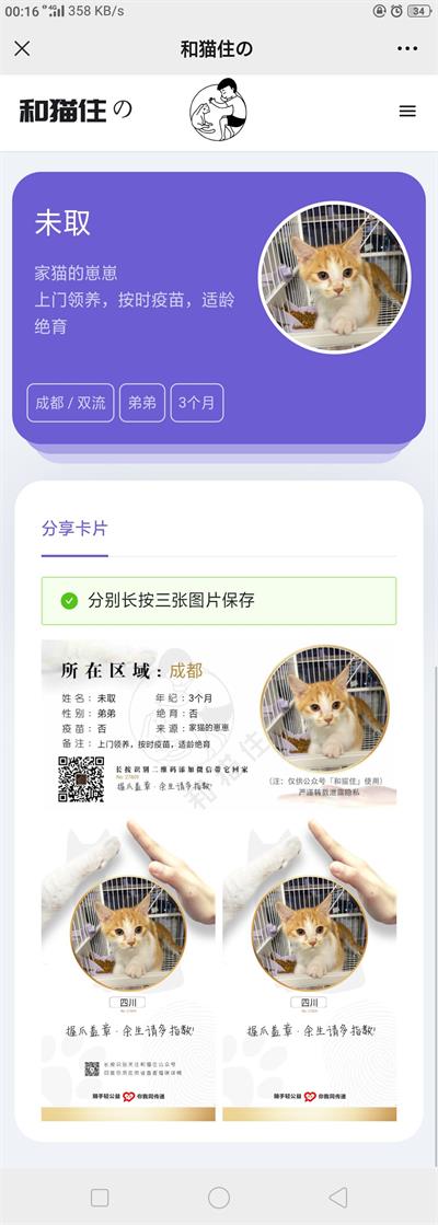 流浪猫流浪狗宠物领养平台H5源码 Thinkphp5内核插图