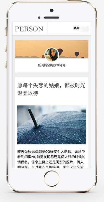 (自适应手机版)响应式个人随笔博客织梦模板插图