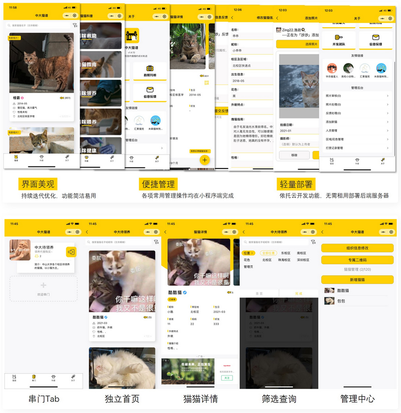 校园流浪猫信息记录和分享的小程序源码插图